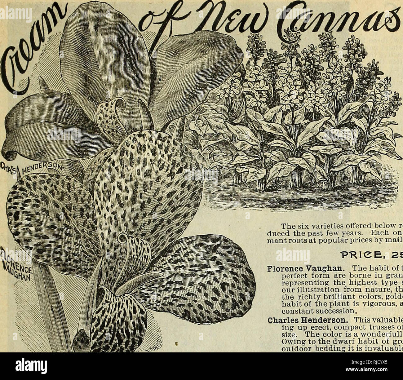 . The Charles A. Reeser Innisfallen Greenhouses. Nurseries