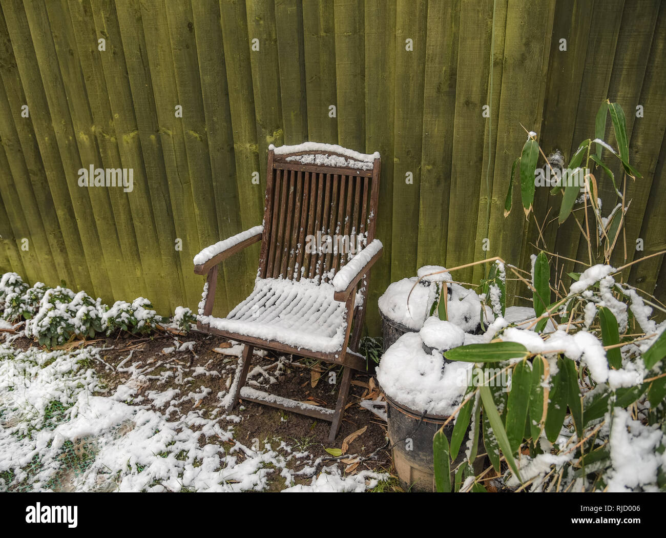 Wooden garden chair covered with snow.  Next to a green fence and containers with snow on their lids. Snow on the bushes and ground. Stock Photo