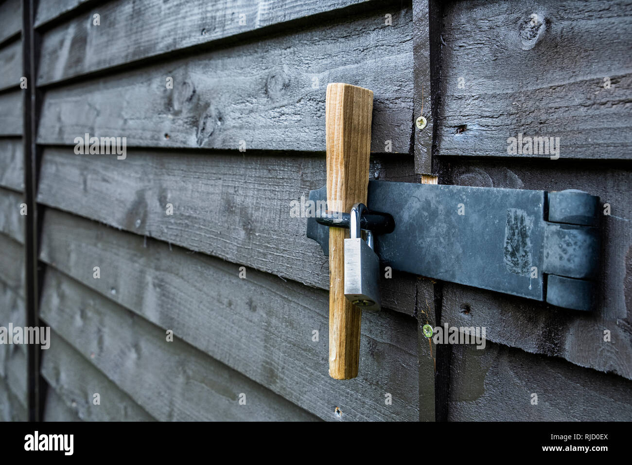 Padlocked wooden shed door Stock Photo Alamy