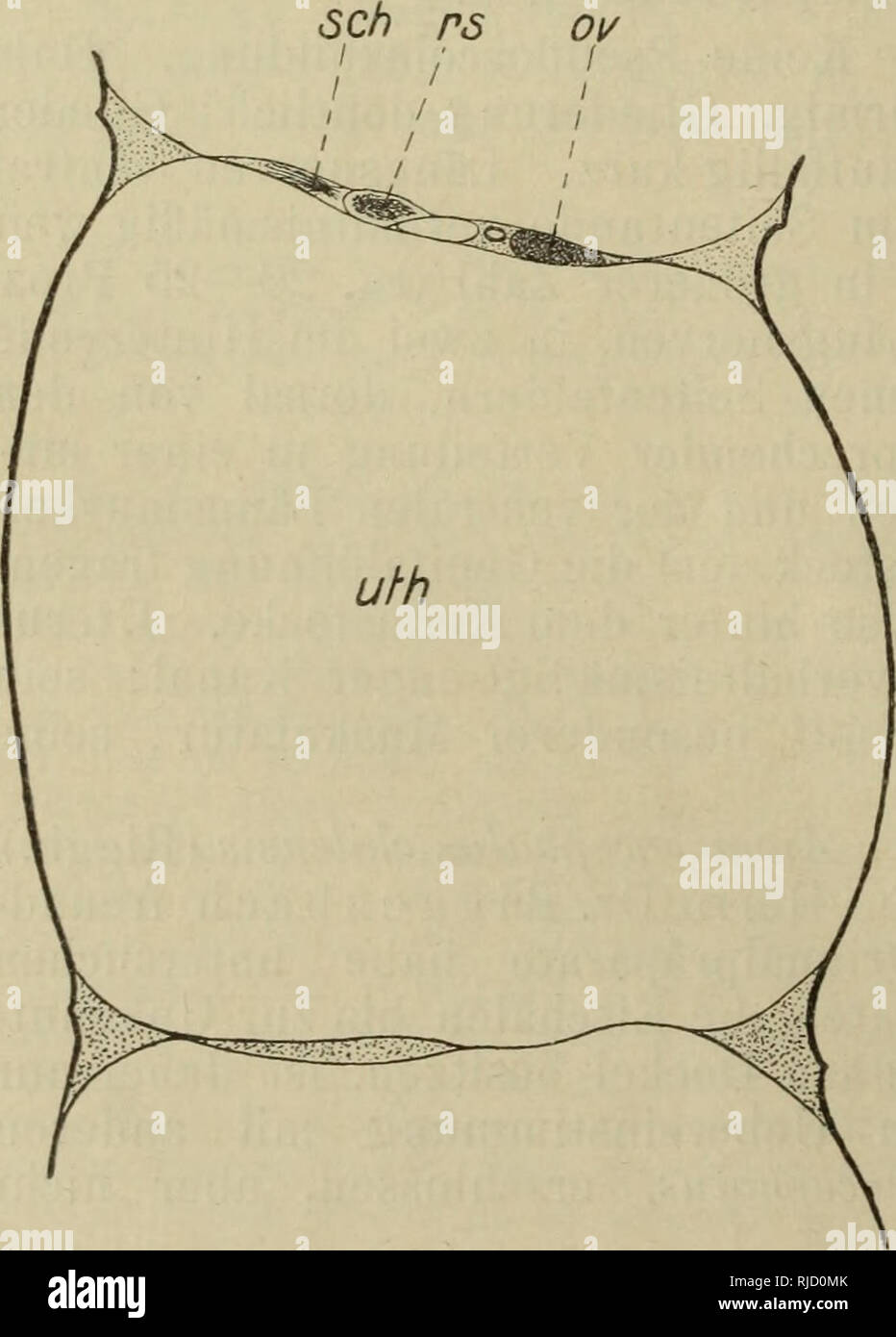 . Centralblatt fu?r Bakteriologie, Parasitenkunde und