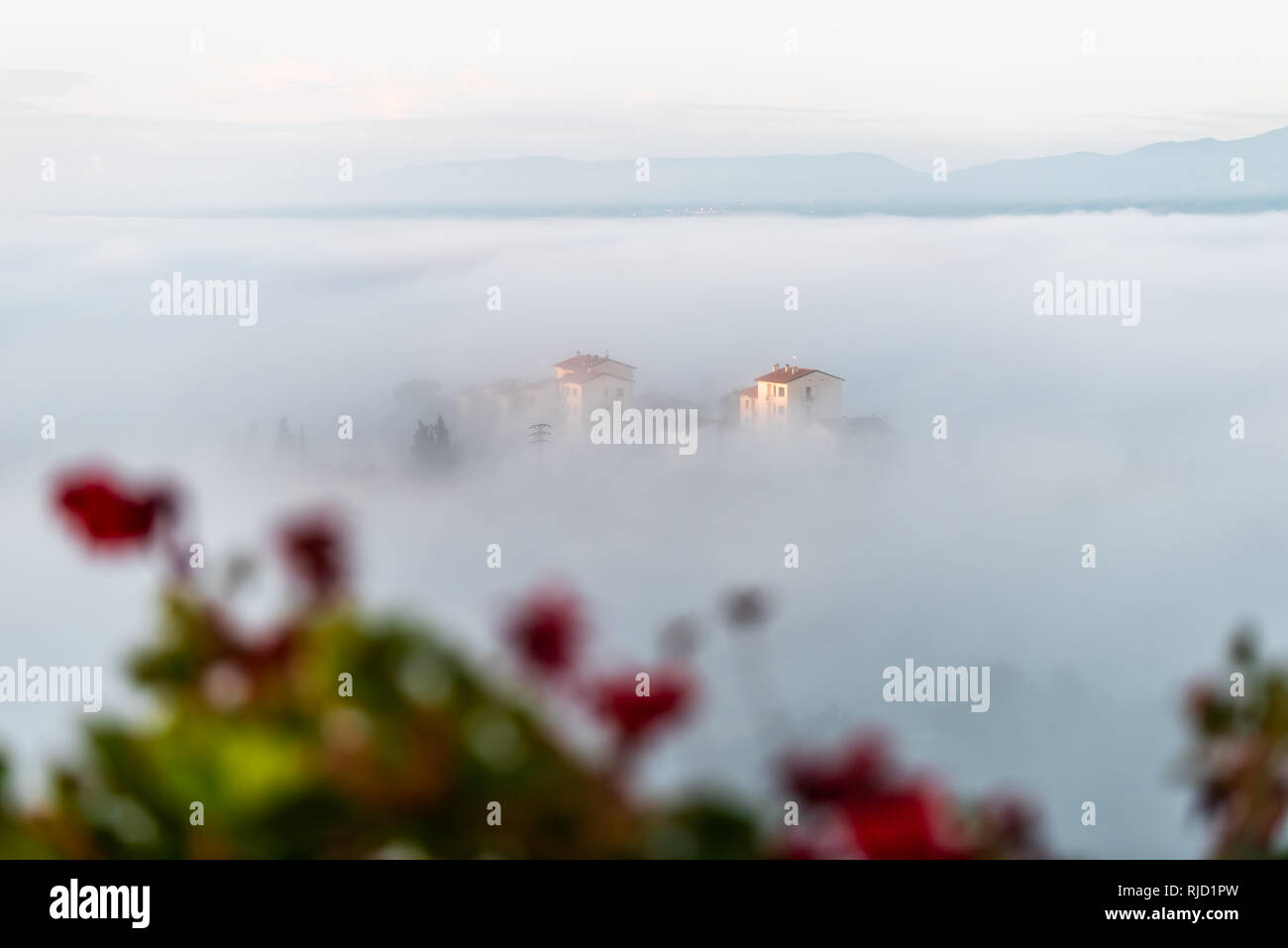 Chiusi Scalo mist fog sunrise of rooftop houses buildings in Umbria, Italy near Tuscany with clouds covering blanketing town cityscape and flowers in  Stock Photo