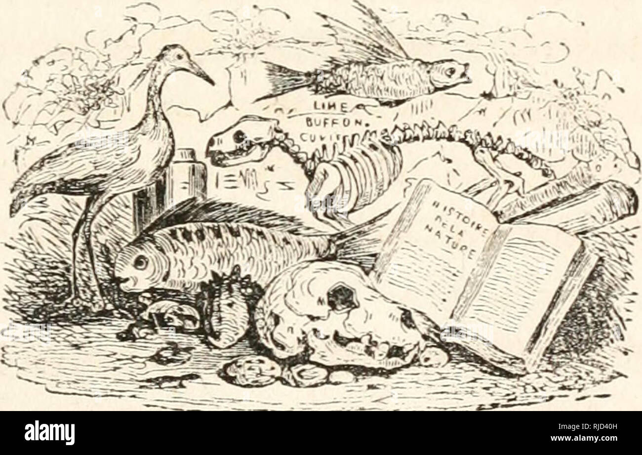 . Cenni sul Museo civico di Milano. Reptiles -- Catalogs and collections; Amphibians -- Catalogs and collections. Vo Ora avendo con (luesli brevi cenni fallo nolo Y origine, il progresso e la presente condizione del civico Museo, non so tenermi dall' esprimere qui il mio non ignobile voto clic piaccia a' cittadini di onorare di loro visite frequenti questo patrio Istituto, e, secondo Ã¨ nel poter di ciascuno, arric- chirlo di loro favori seguendo le generose traccio di molli i quali giÃ ne dieder T esempio. PotrÃ essere slimolo per molti a nobilissimi studi, e ad ogni modo, essendo esso pe- re Stock Photo