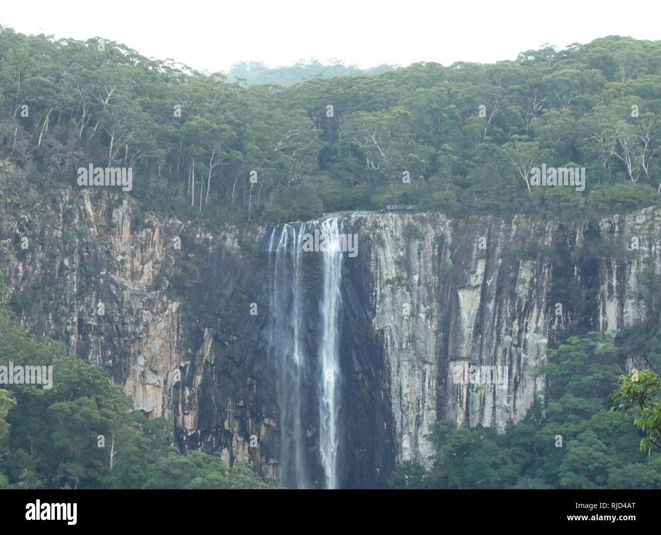 The ridgeline along Minyon Falls in Queensland, Australia Stock Photo