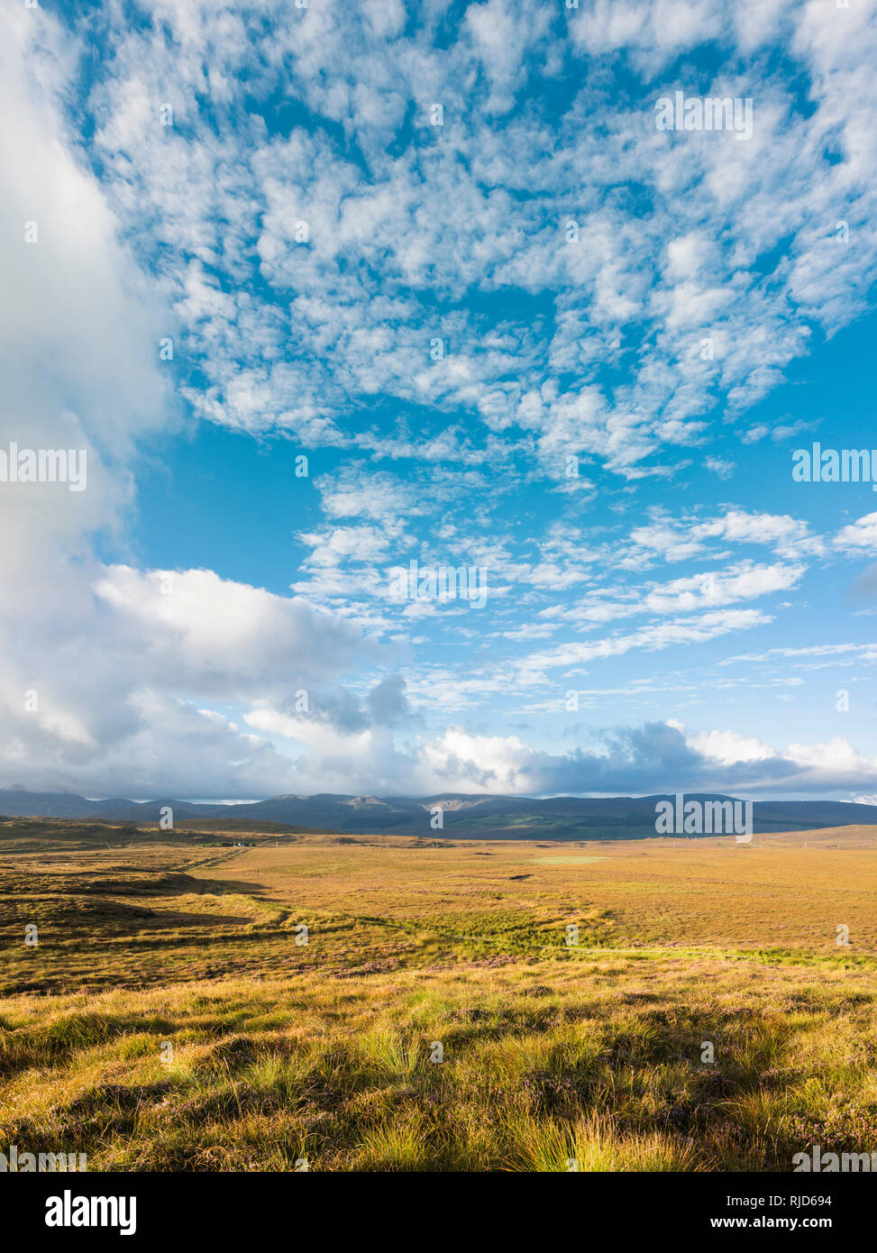 View across bogland on a sunny day  in late summer from outside Gort an Choirce (Gortahork), County Donegal, Ireland Stock Photo