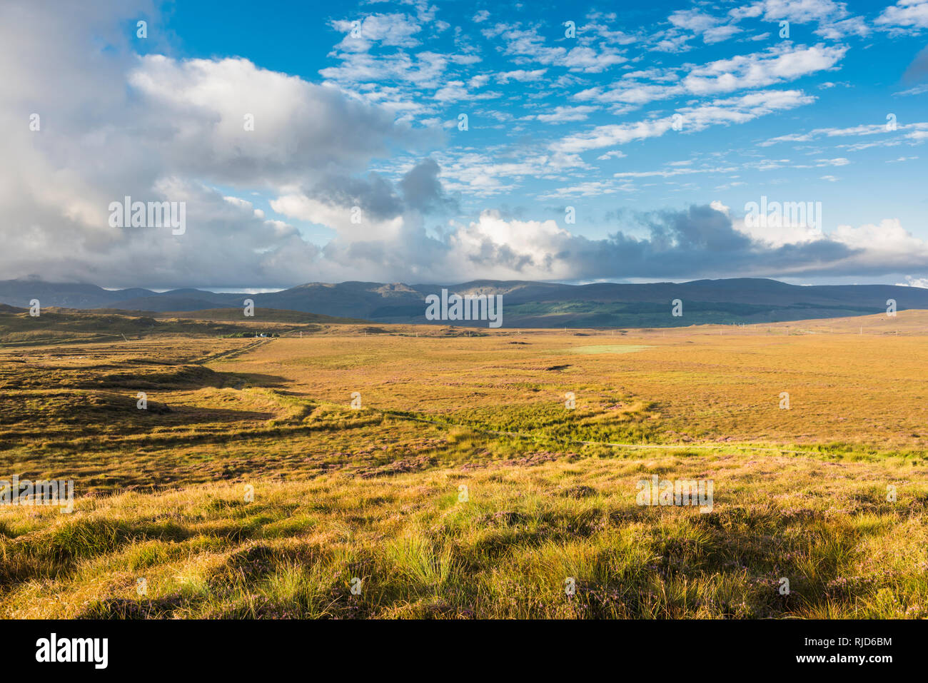 View across bogland on a sunny day in late summer from outside Gort an