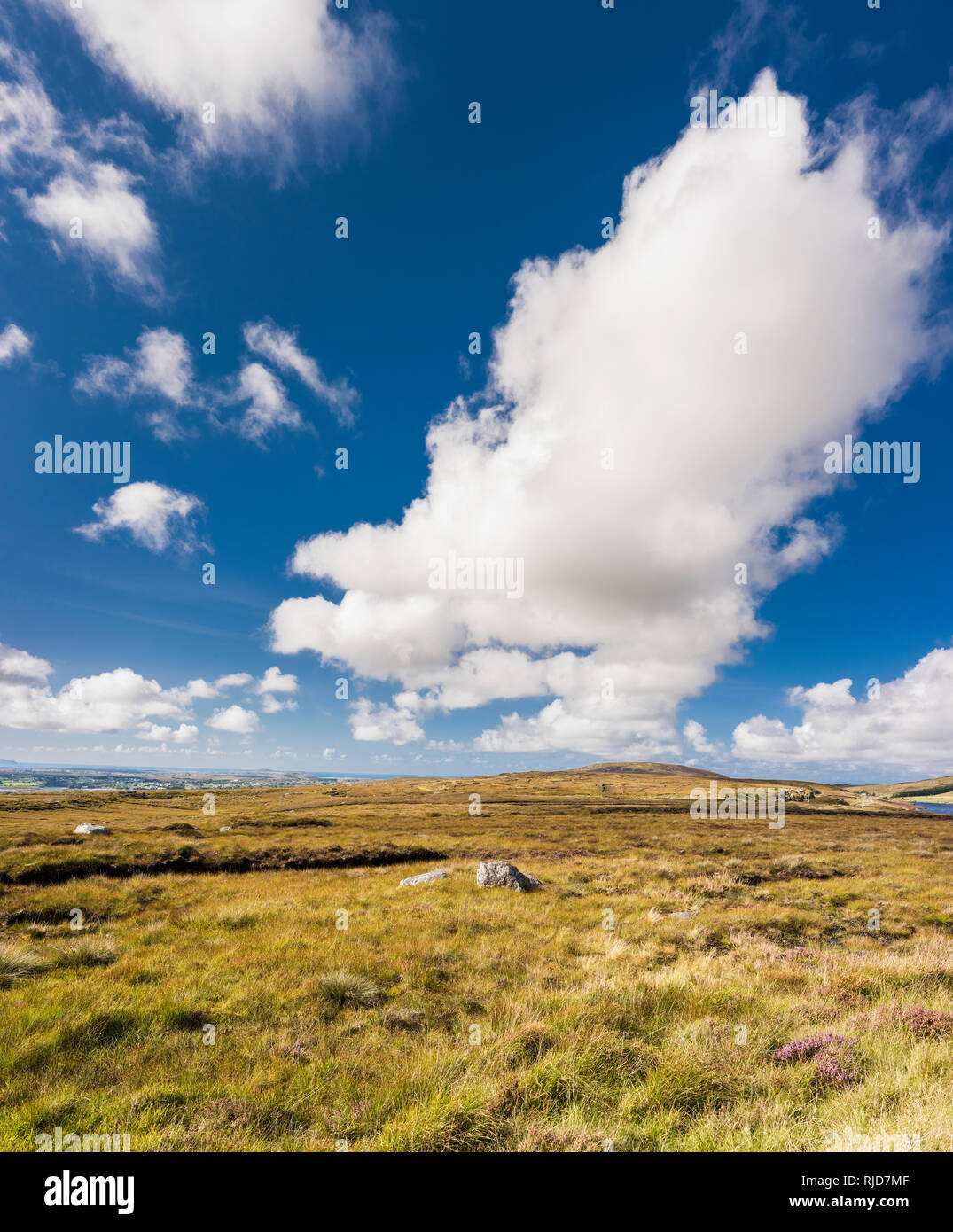 View across partially cut bog near Thorr, County Donegal, Ireland, on a sunny August day, with blue sky and cumulus clouds Stock Photo