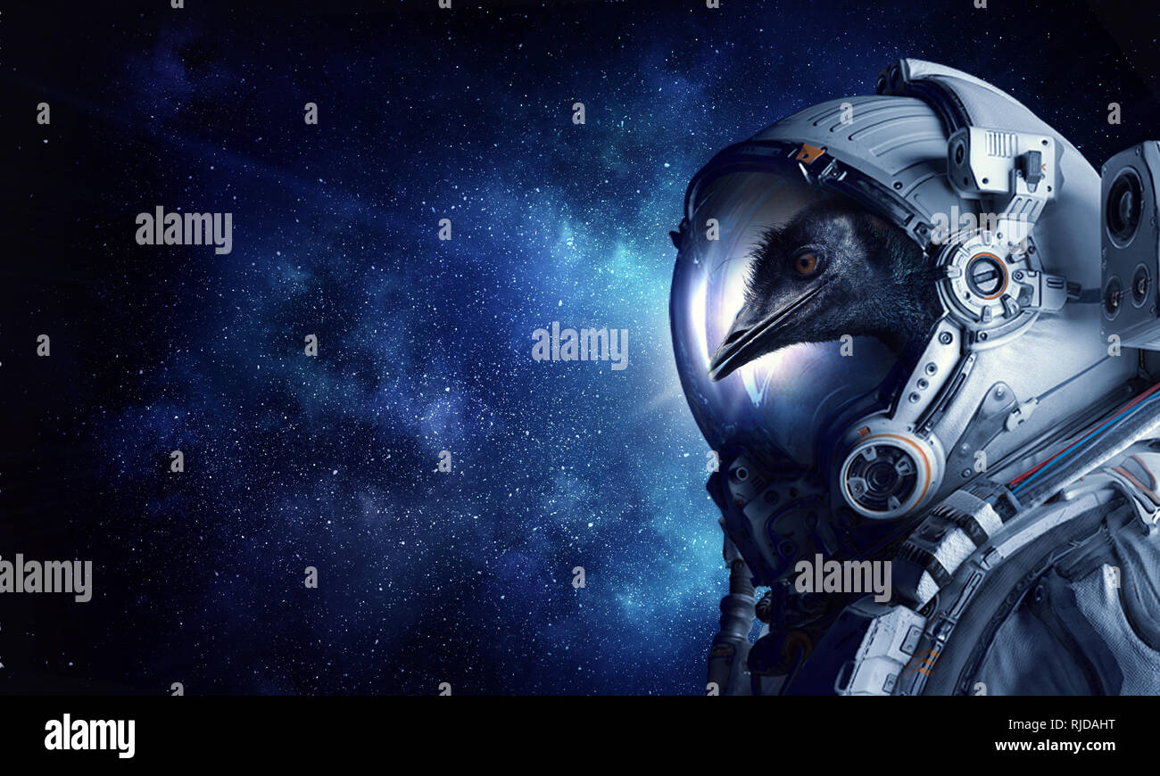 Bird In Space Suit