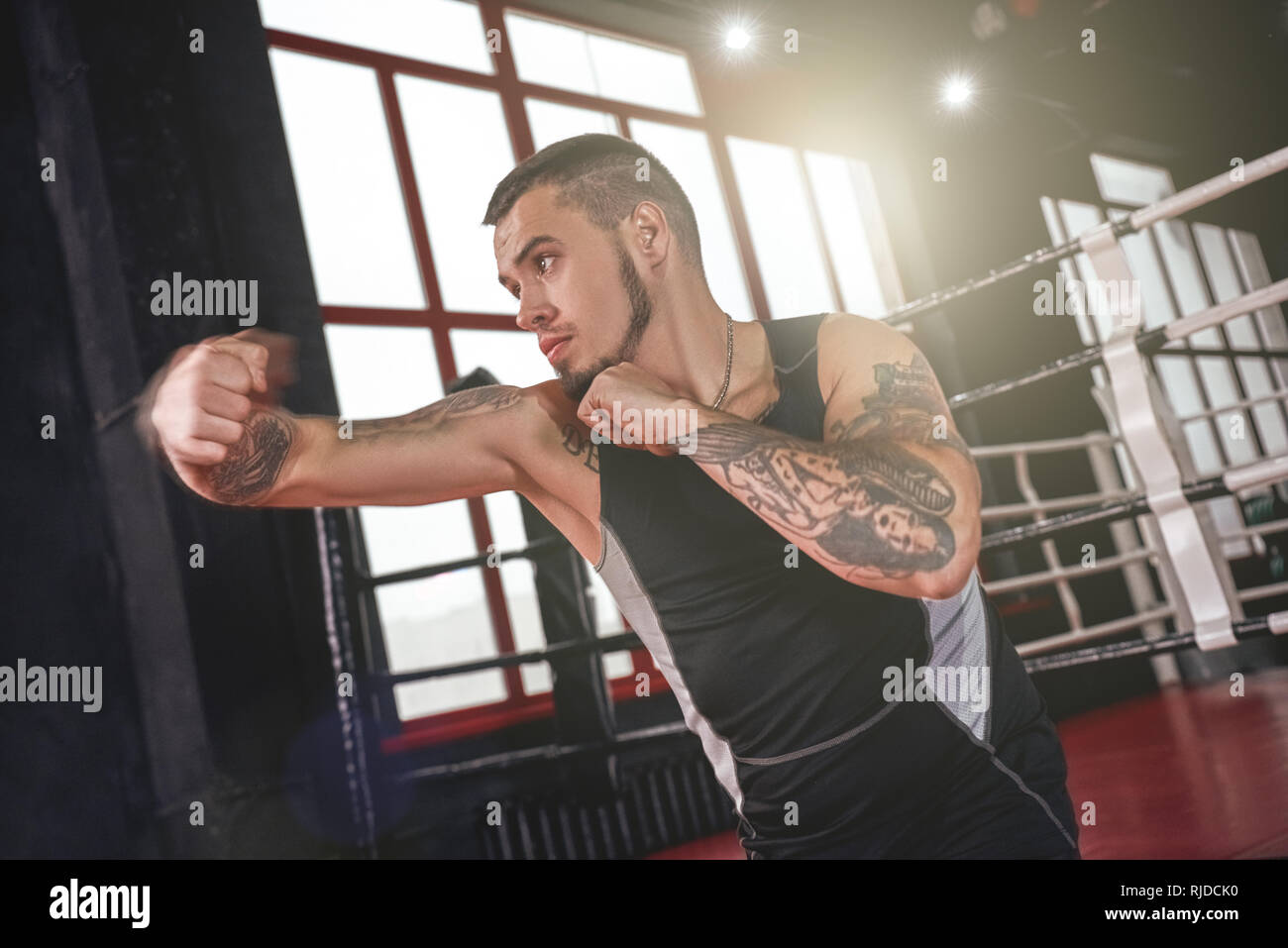 Strong man fighter in sports clothing boxing with shadow. Confident