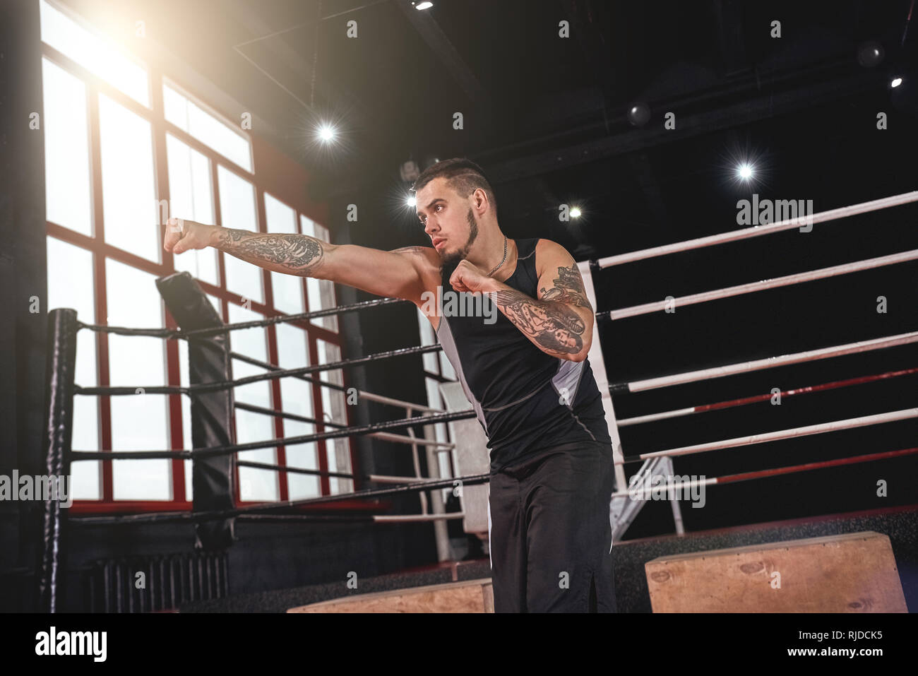 Muscular athlete in sports clothing practicing right straight punch in boxing gym. Strong young
