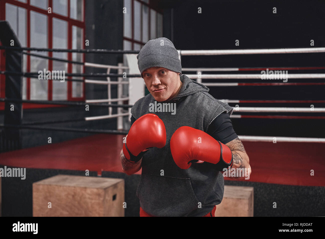 Confident muscular boxer in sports clothing with red boxing gloves