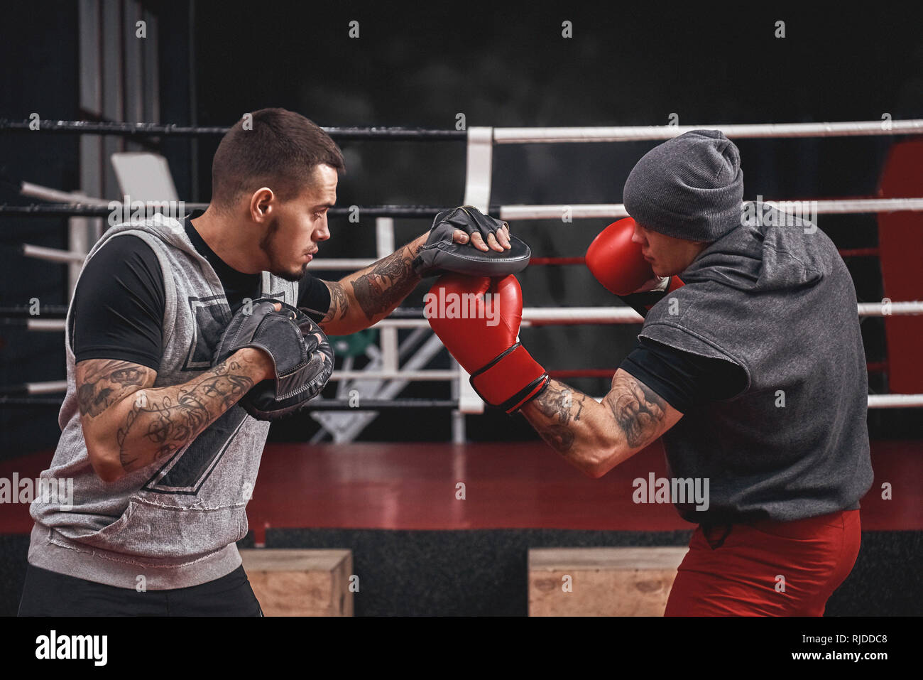 Confident muscular athlete in boxing gloves punching uppercut. Side view of young boxer training