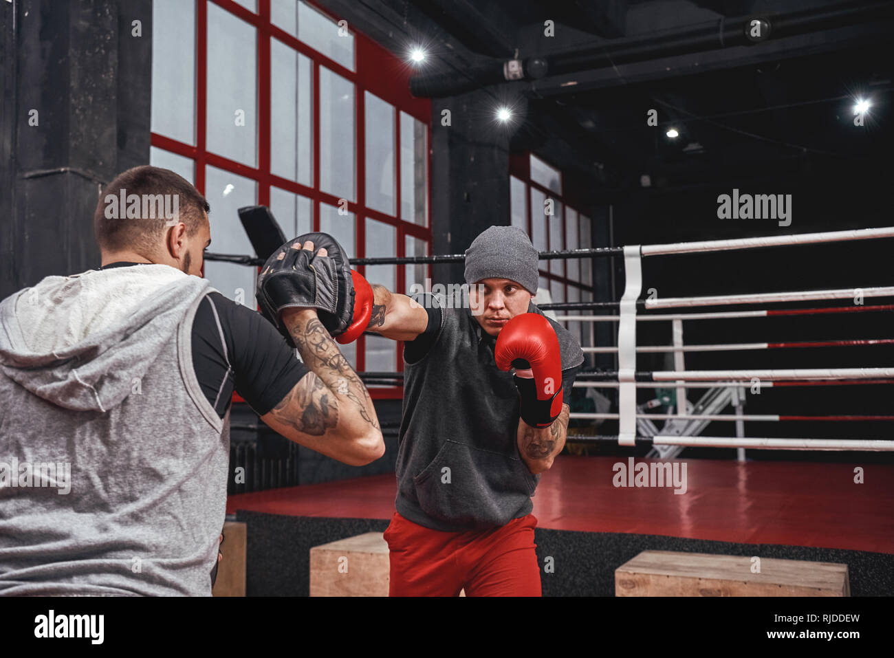 Training hard. Confident muscal athlete in red gloves training on boxing paws with partner in