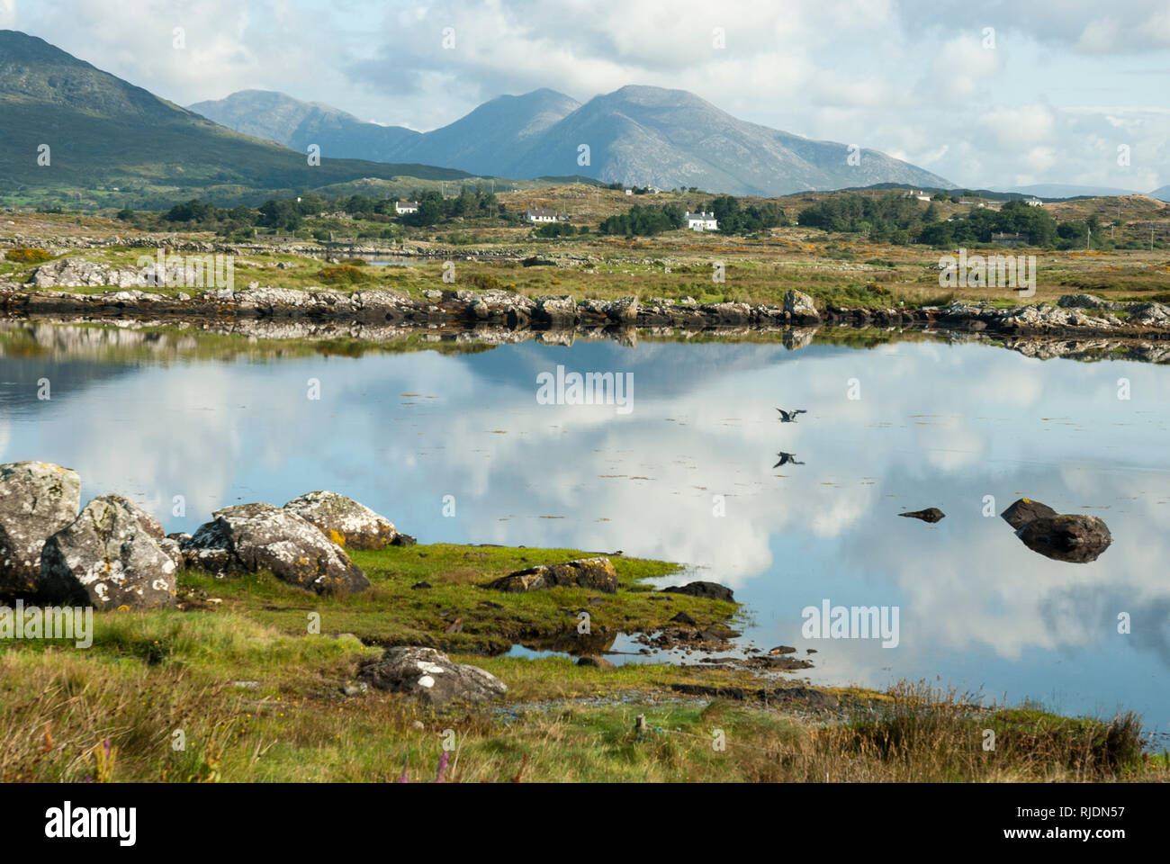 Reflections on a summers day in the tranquil Derryclare Lough with the twelve Bens Mountains in the background. Stock Photo