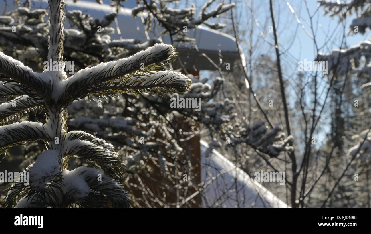 Winter in Colorado Stock Photo