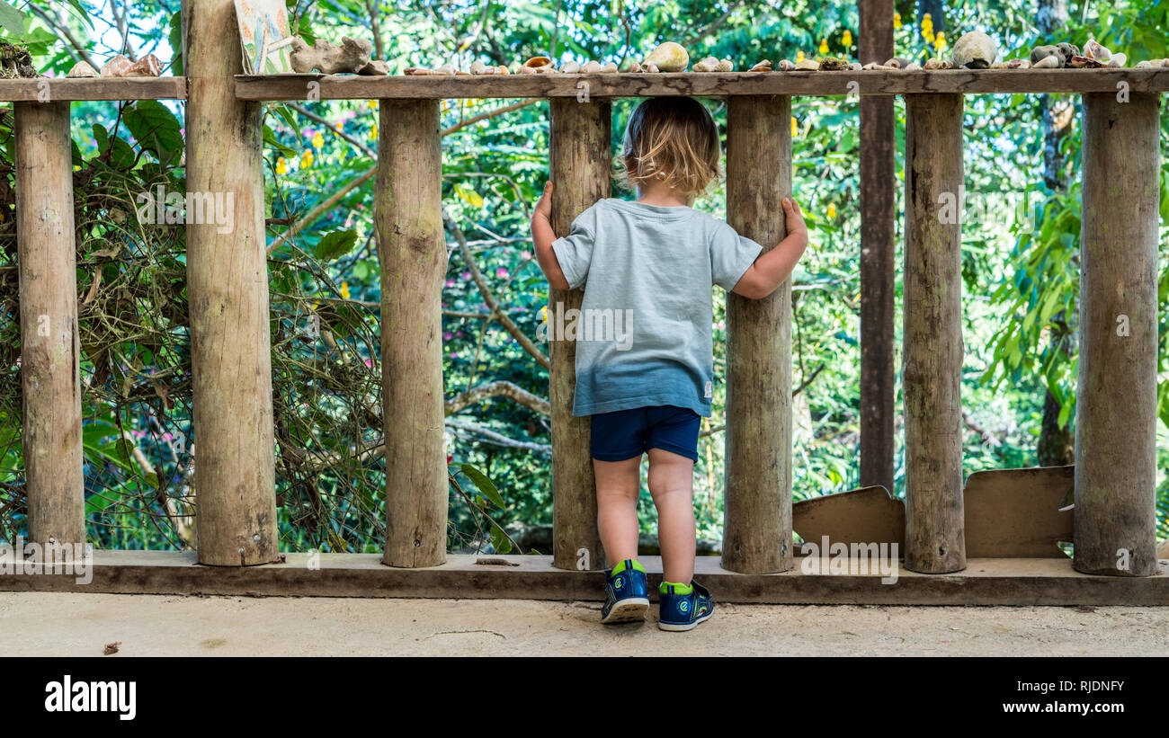 A nice photo of a young child standing on the edge of a balcony and looking at the beautiful lush and green jungle of Osa Peninsula, Costa Rica Stock Photo