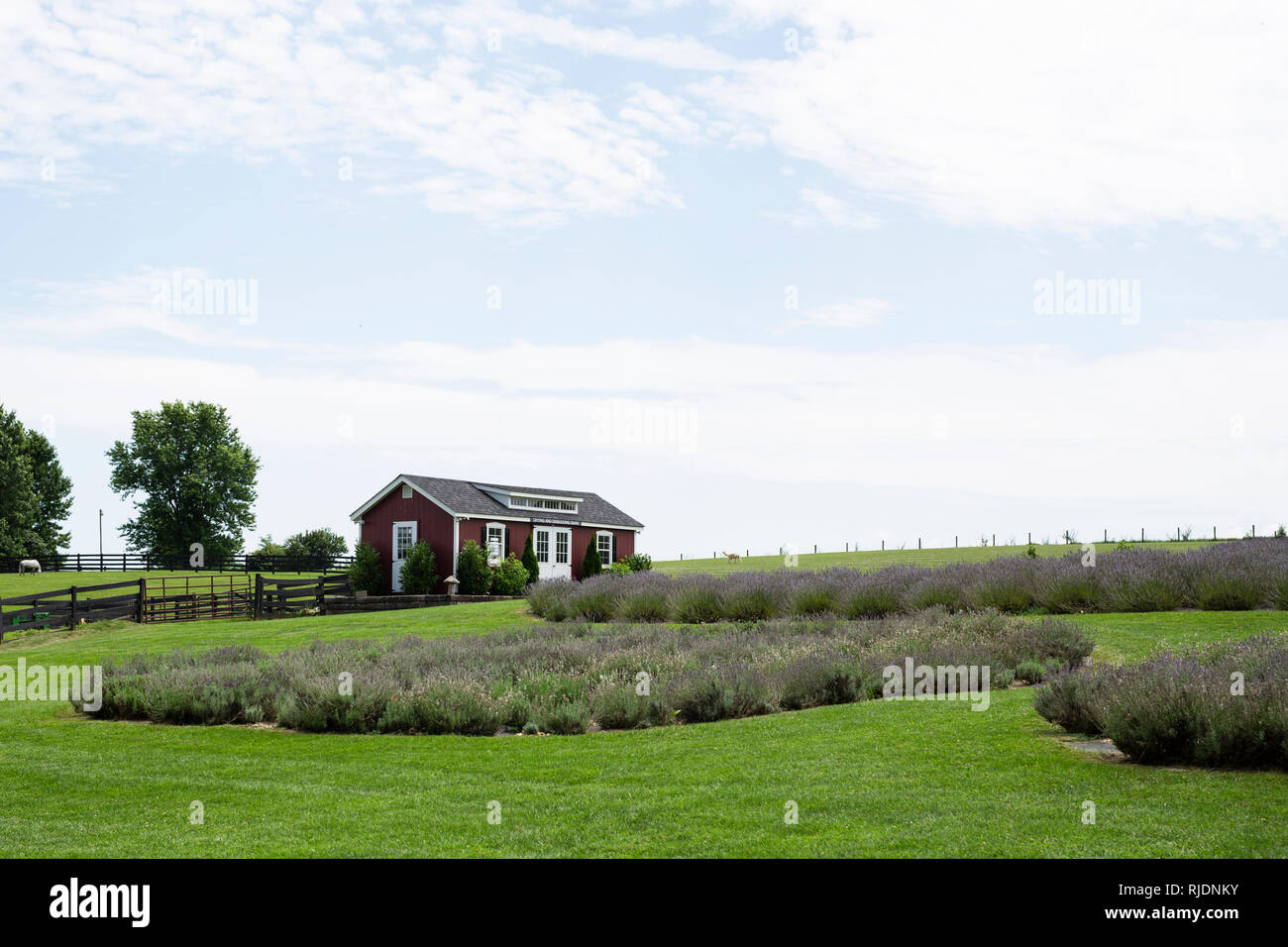 Harrisonburg Stock Photos Harrisonburg Stock Images Alamy
