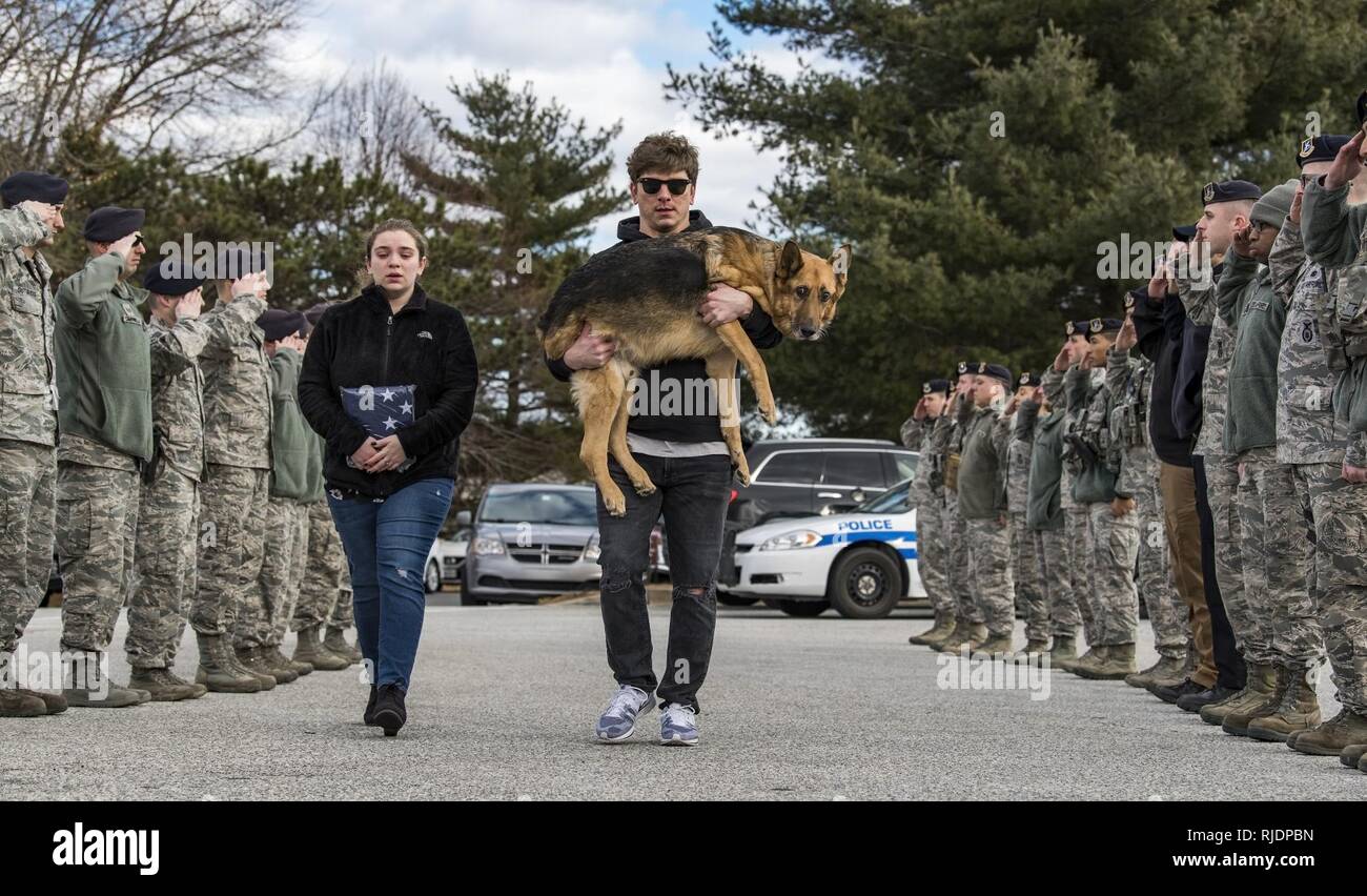 Members of the 436th Security Forces Squadron render a final salute to retired Military Working Dog Rico as his former handler and current owner, retired Tech. Sgt. Jason Spangenberg, carries him to the Veterinary Treatment Facility Jan. 24, 2018, on Dover Air Force Base, Del. Mya Spangenberg accompanied her father as they walked through the cordon. Stock Photo