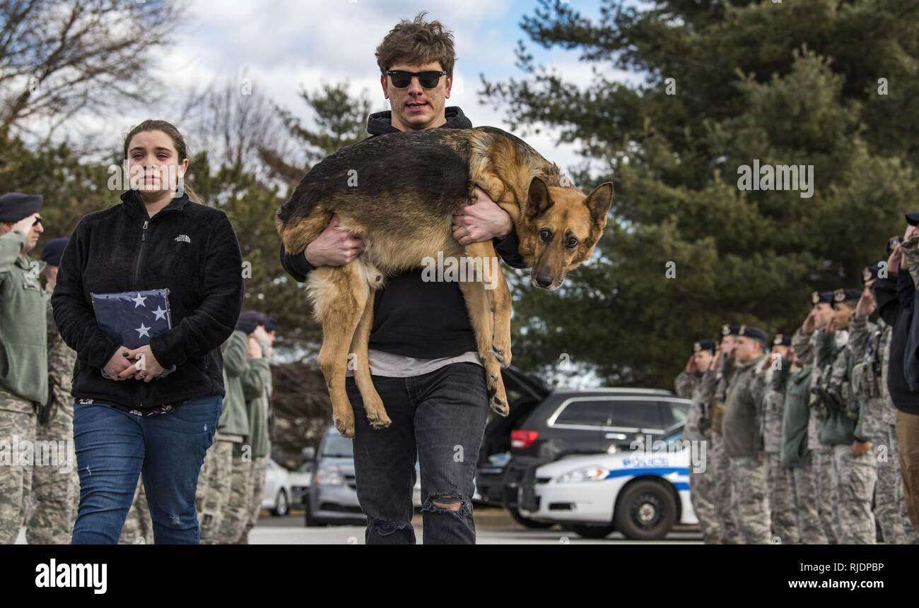 Members of the 436th Security Forces Squadron render a final salute to retired Military Working Dog Rico as his former handler, retired Tech. Sgt. Jason Spangenberg, carries him to the Veterinary Treatment Facility Jan. 24, 2018, on Dover Air Force Base, Del. Mya Spangenberg carried a U.S. flag as she accompanied her father. Stock Photo