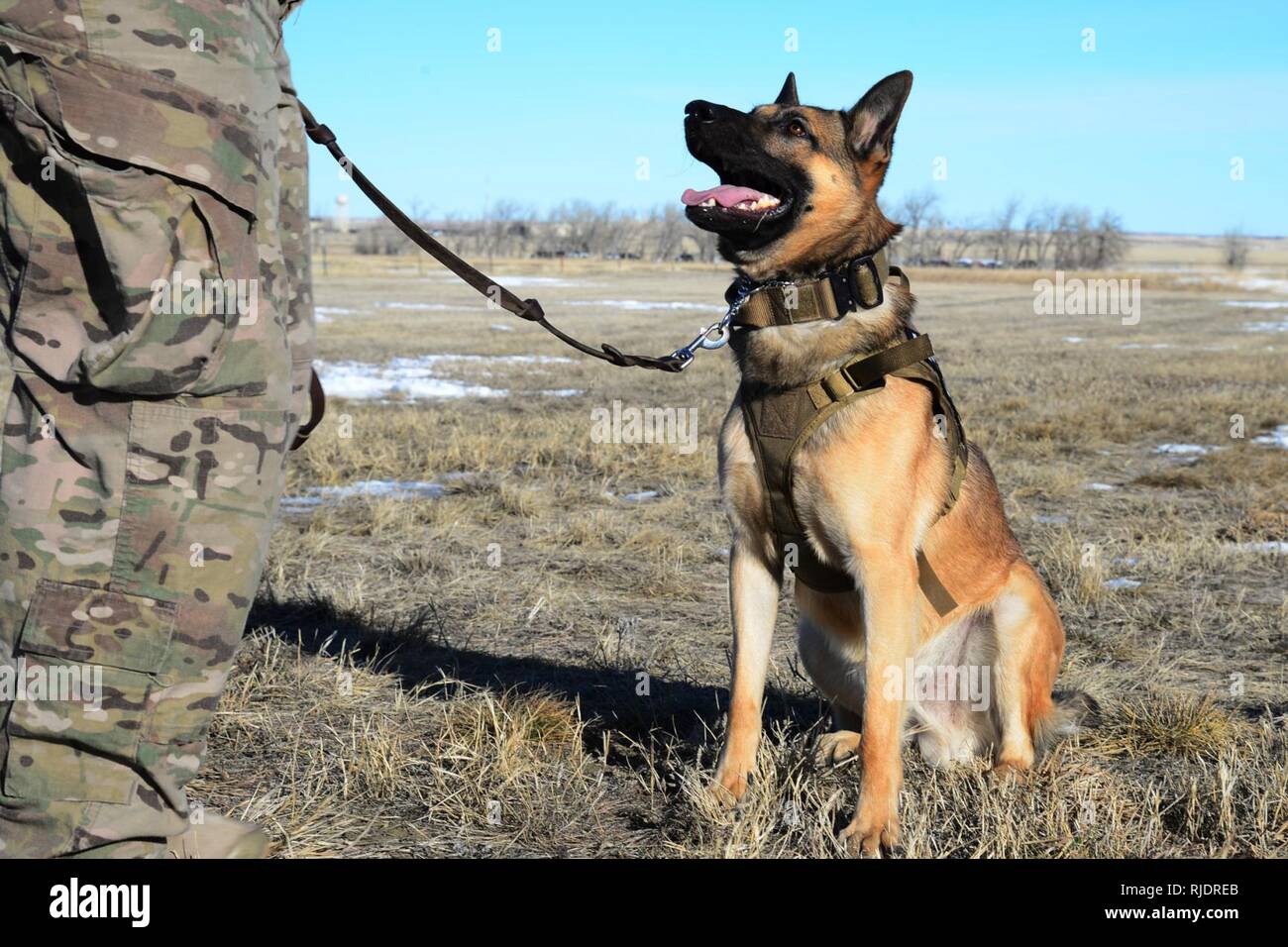 Humans Malmstrom 341st security forces squadron hi-res stock photography and images - Alamy