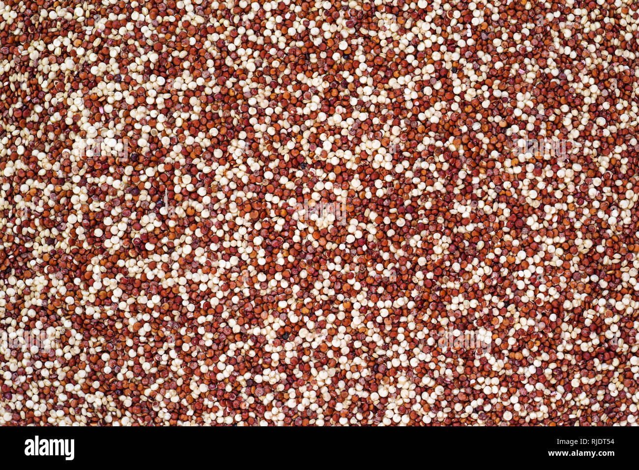 background of brown and white organic quinoa grains Stock Photo