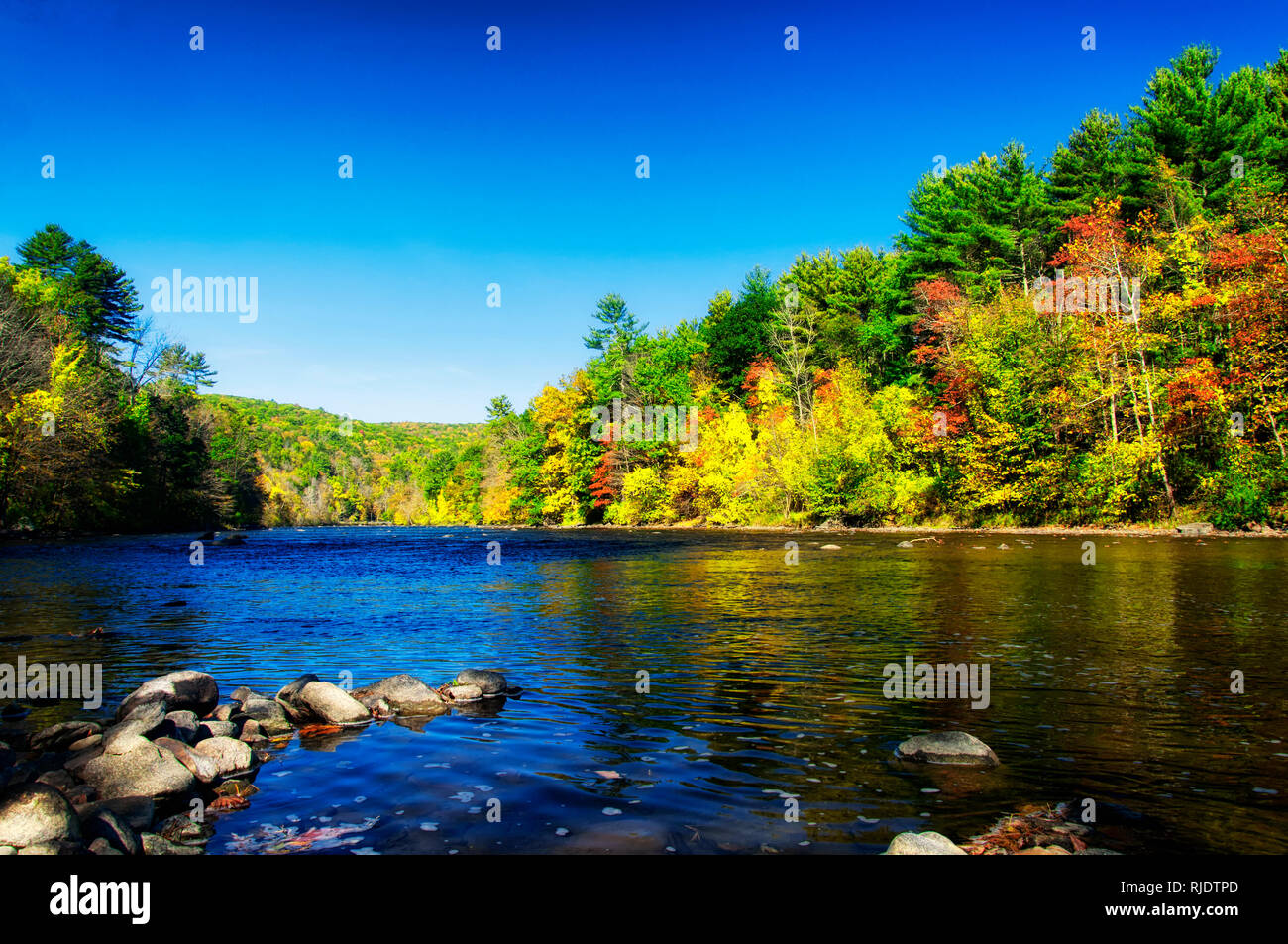 The Housatonic River and fall foliage of litchfield county in autumn in the town of Cornwall Bridge Connecticut on a sunny blue sky day. Stock Photo