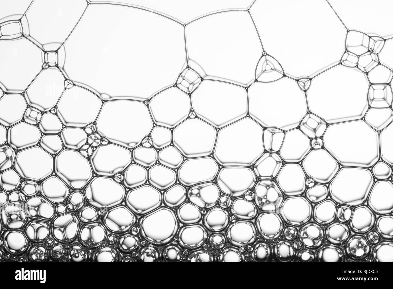 Geometric cells formed by soap bubbles and water, for background or texture Stock Photo