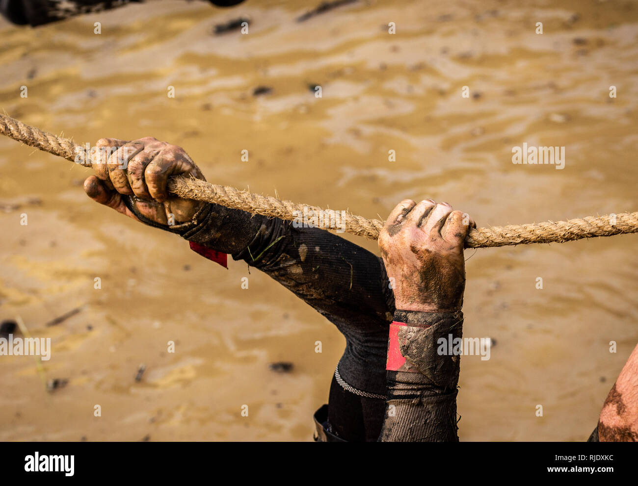Mud race runners, defeating obstacles by using ropes. Details of the ...