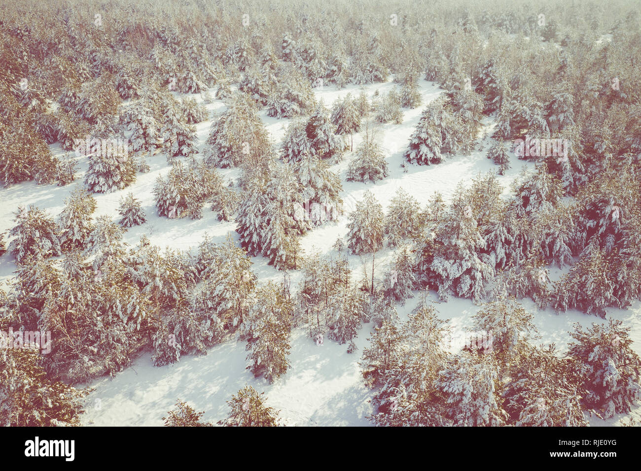 Aerial view of the winter snow covered forest and frozen lake from ...