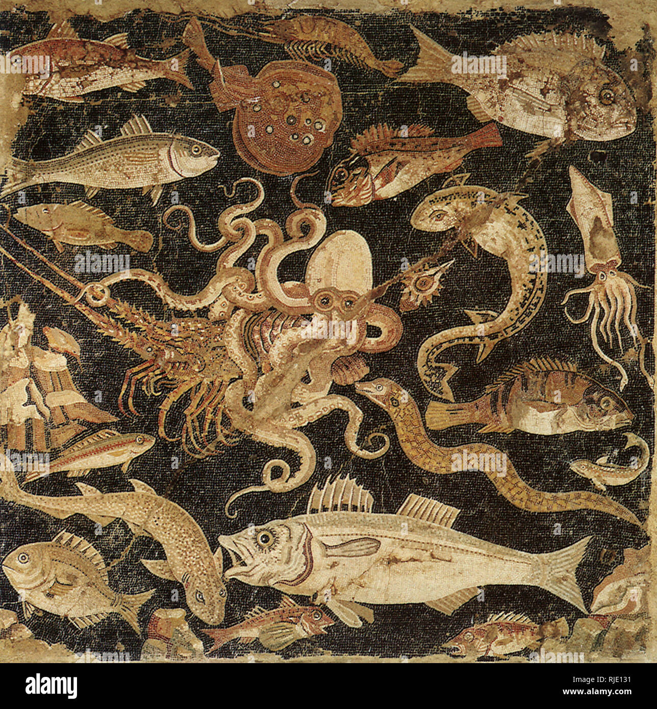 Mosaic fish pompeii hires stock photography and images Alamy
