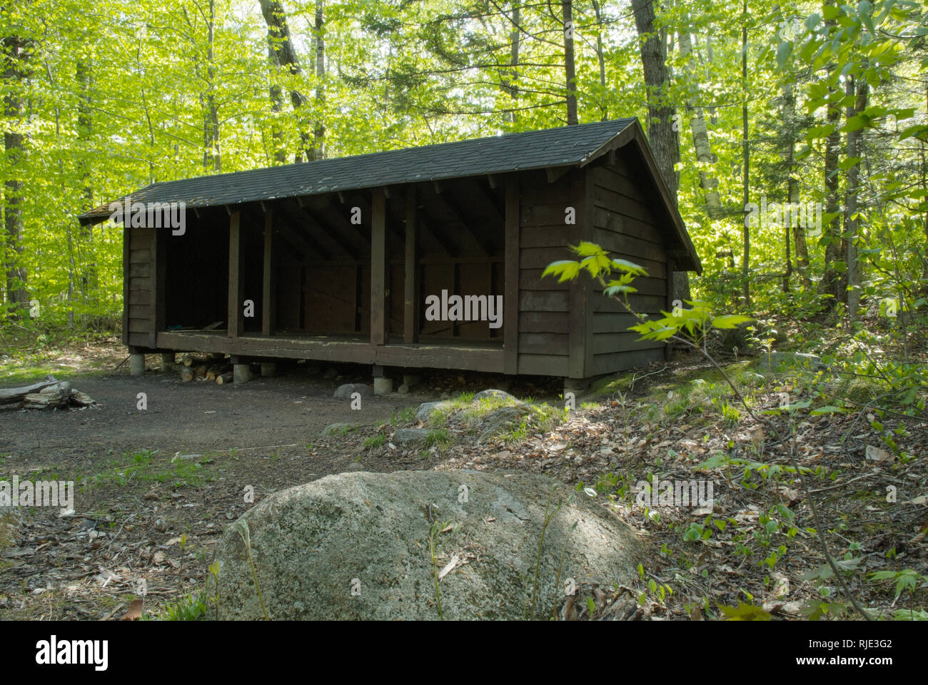 Rocky Branch Shelter 1 in the White Mountains of New Hampshire. This