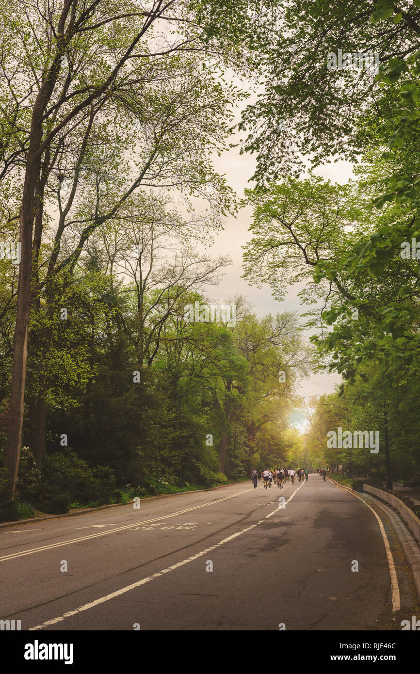 anonymous cyclists in Central Park in the morning Stock Photo