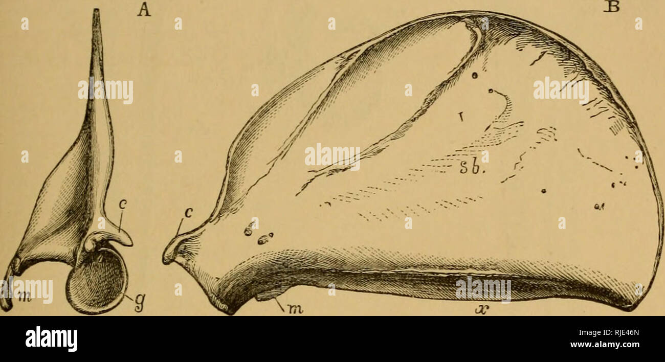 Sigmoid curve hires stock photography and images Alamy