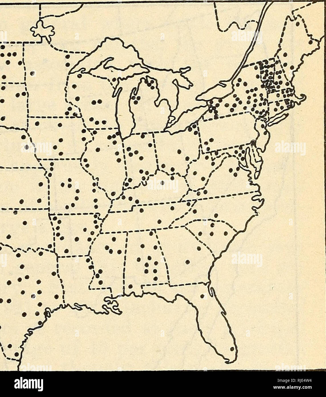 . The Cattle grubs or ox warbles, their biologies and suggestions for control. Warble flies; Cattle; Insect pests. Fig. 1.—Distribution of Hypoderma lineatum in the United States. Bach dot repre- sents a locality where this species has been collected during this investigation sumura also informed Clausen that H. ho vis occurs on cattle in the vicinity of Akita. Through correspondence and by personal examinations by agents of the bureau, the distribution of the cattle grubs in the United States and their relative abundance have been determined with fair accuracy. A summary of the information on Stock Photo