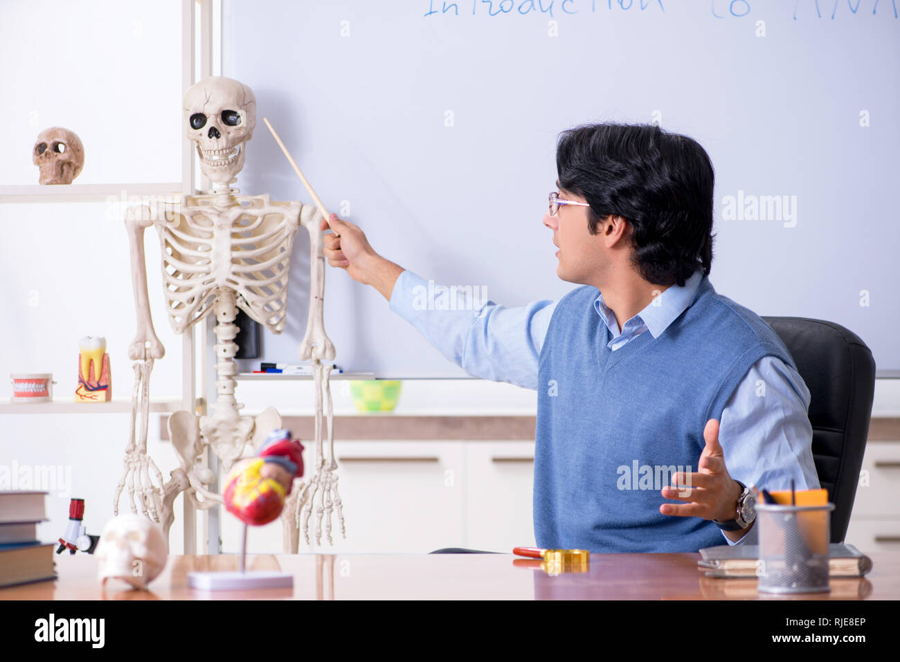 Young lecturer teacher teaching anatomy Stock Photo Alamy