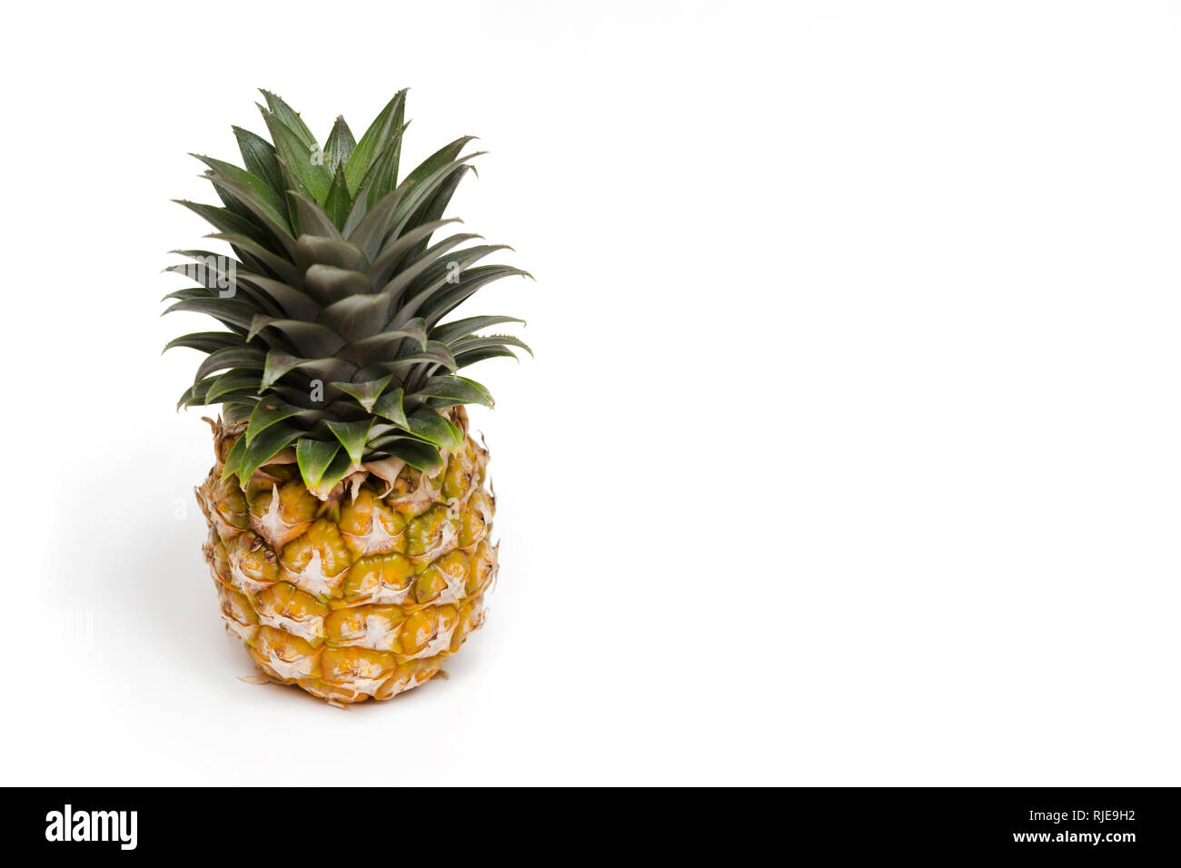 A Little Organic Healthy Pineapple Fruit on White Background Stock Photo