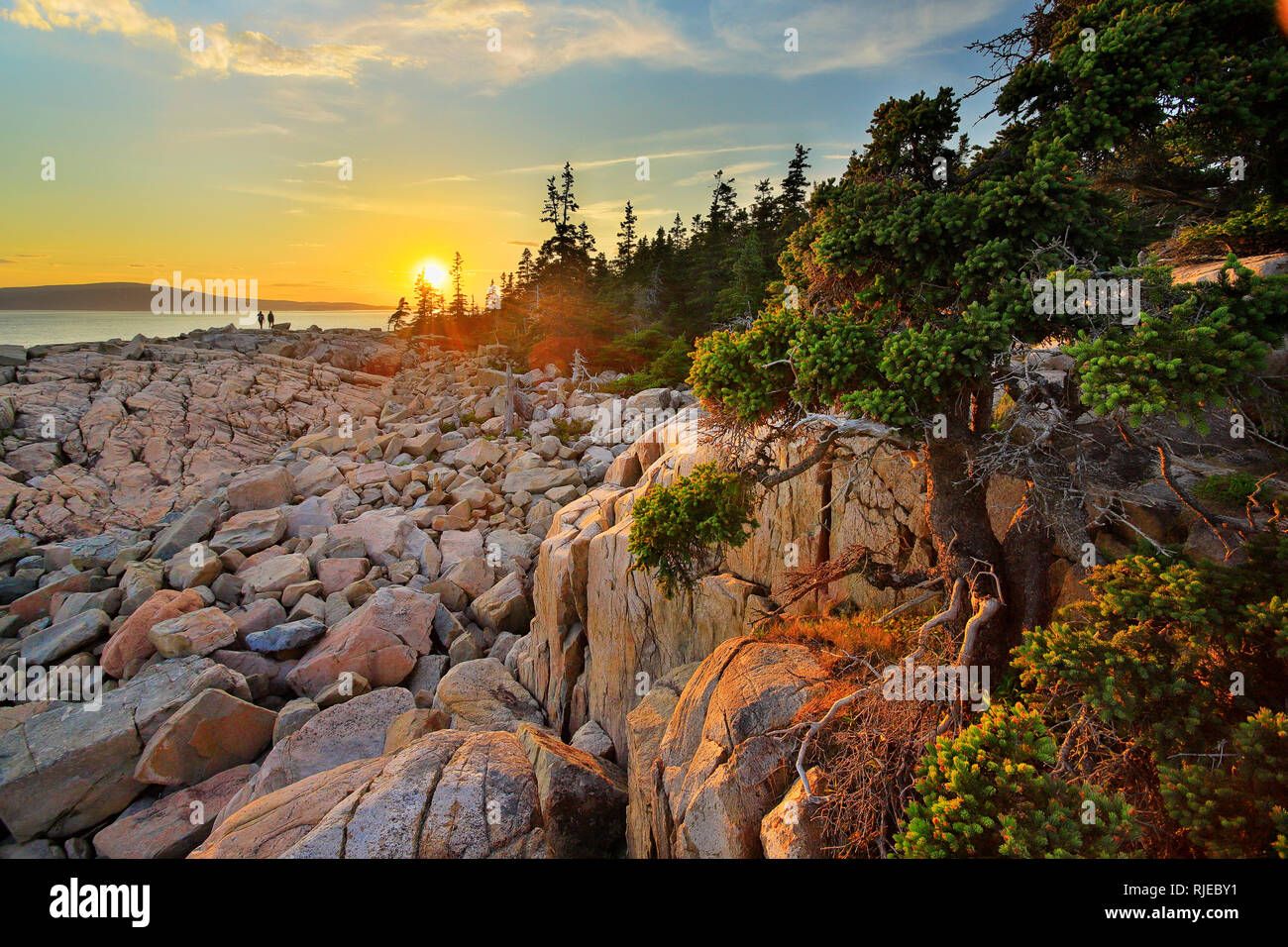 Schoodic Point, Schoodic Peninsula, Acadia National Park, Maine, USA