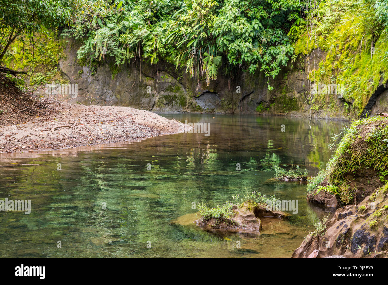 A landscape photograph of a beautiful greenish river in a tropical jungle in Osa Peninsula, Costa Rica Stock Photo