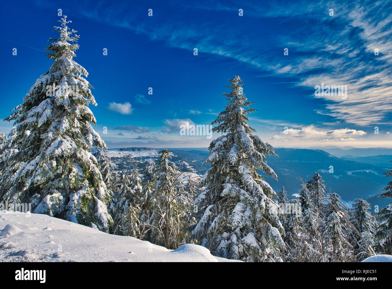 Winter Landscape Snow Mountain Frozen Lake Black Forest Germany Stock ...