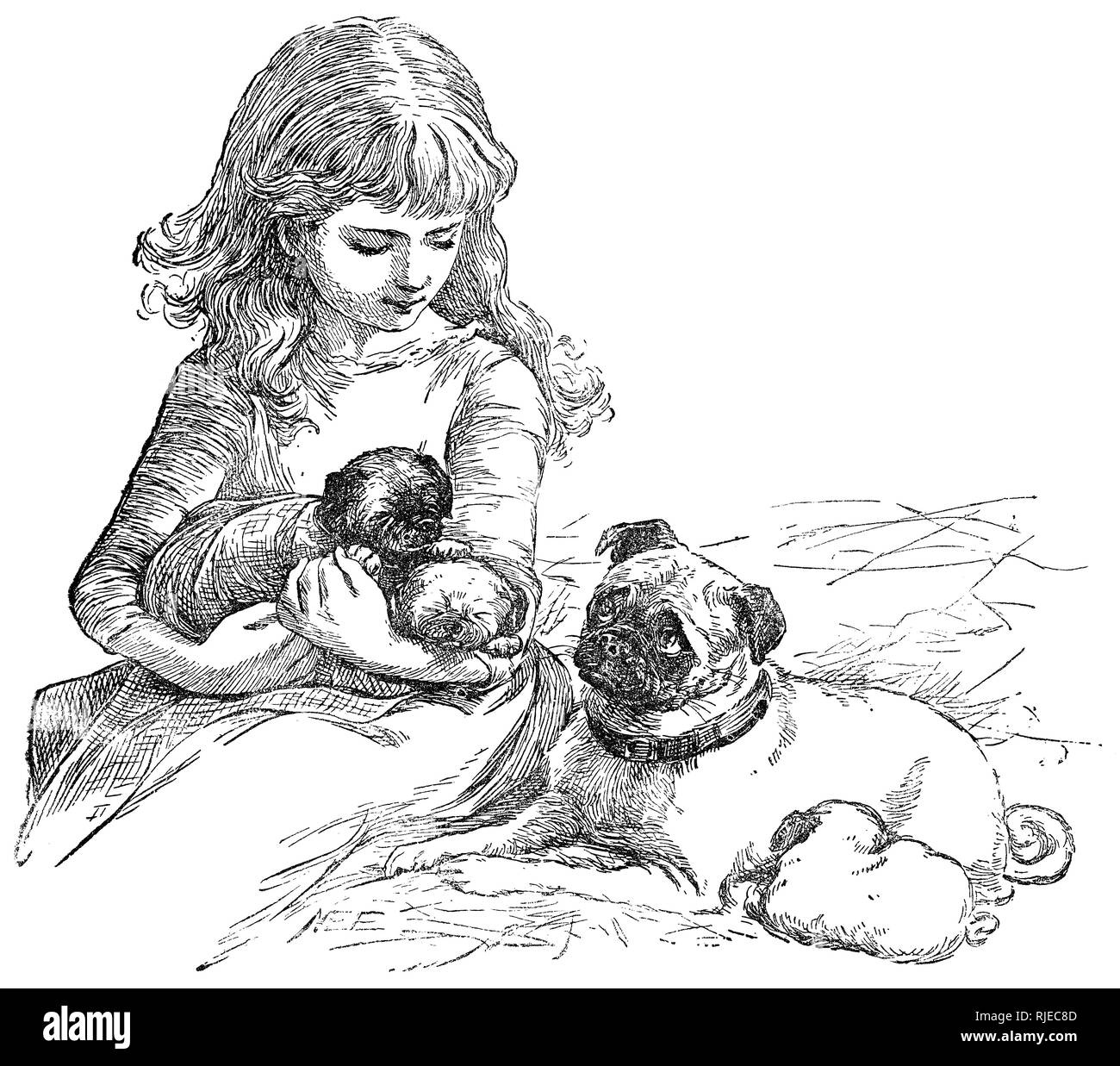 Illustration by Mary Ellen Edwards (1838-1934) of a girl and pug dog and puppies, published in Nister's Holiday Annual 1892. Stock Photo