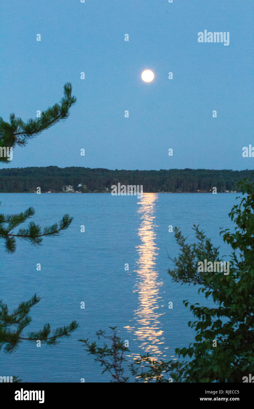 Moonlight on Elk Lake, Michigan Stock Photo Alamy