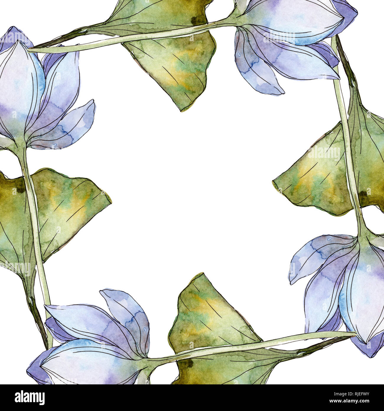 Blue purple floral botanical flower. Wild spring leaf wildflower isolated. Watercolor background illustration set. Watercolour drawing fashion aquarel Stock Photo