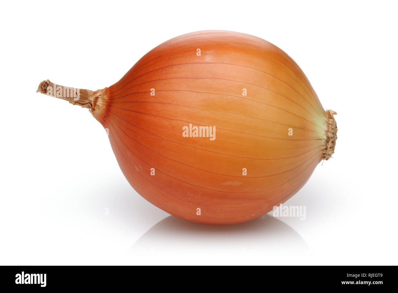 Yellow onion isolated on white background Stock Photo - Alamy