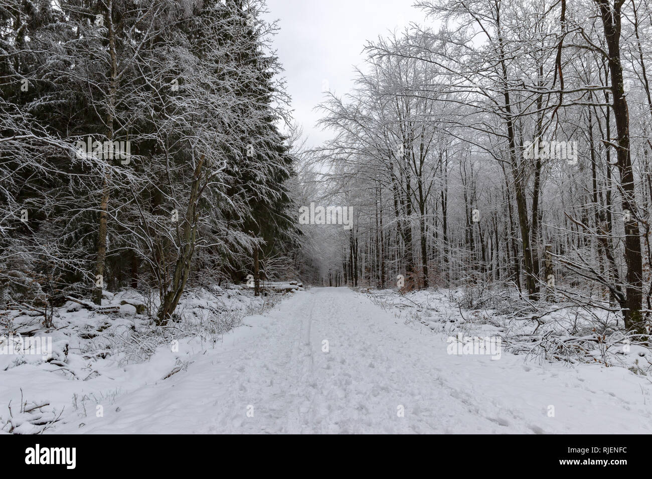 Empty dirt road covered with snow hi-res stock photography and images ...