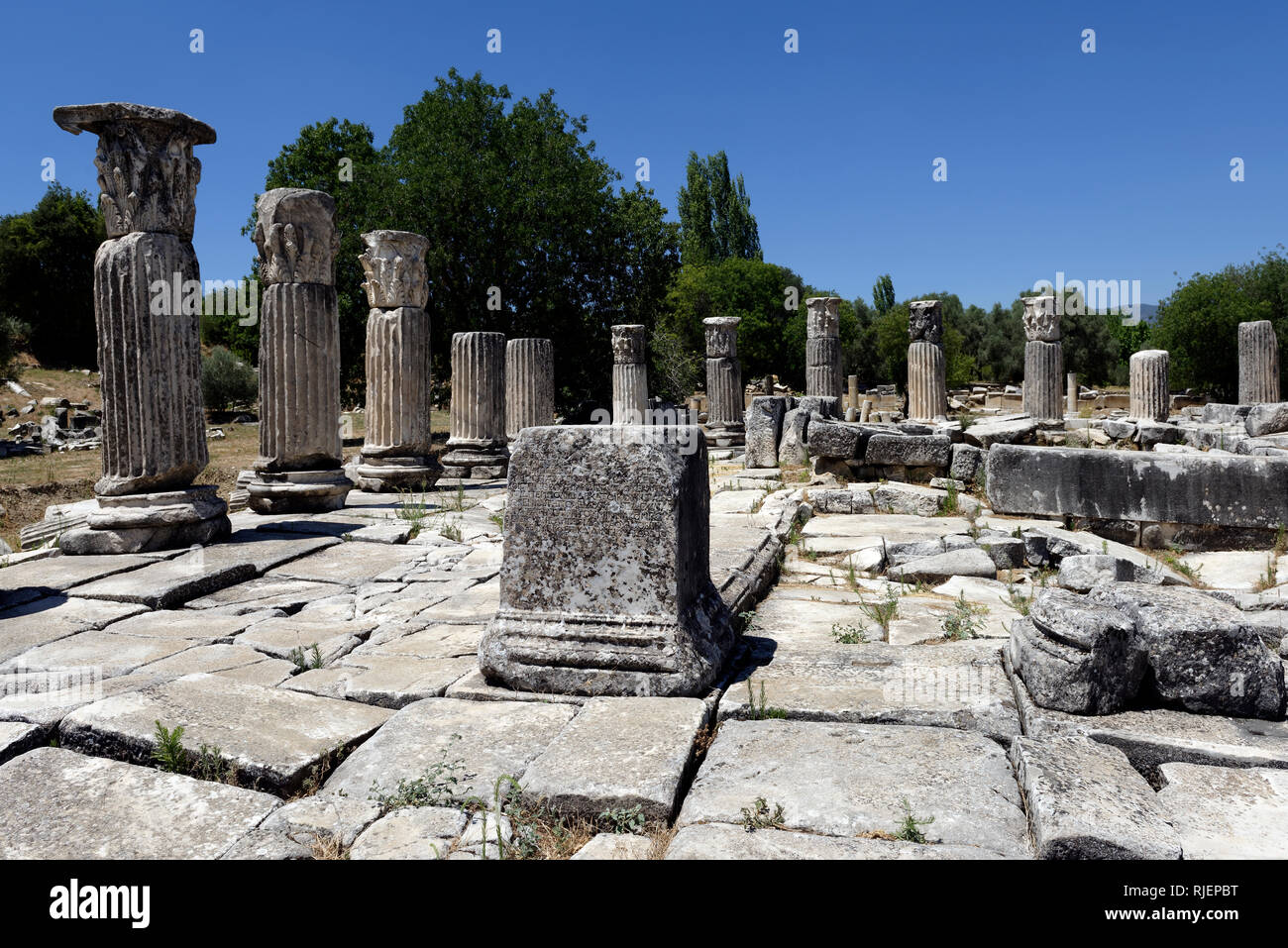 Ancient Greek inscription at the temple of Hecate (Hekate) which dates from  the 2nd century BC, Lagina, Yatagan, Turkey. This temple is the only known  Stock Photo - Alamy