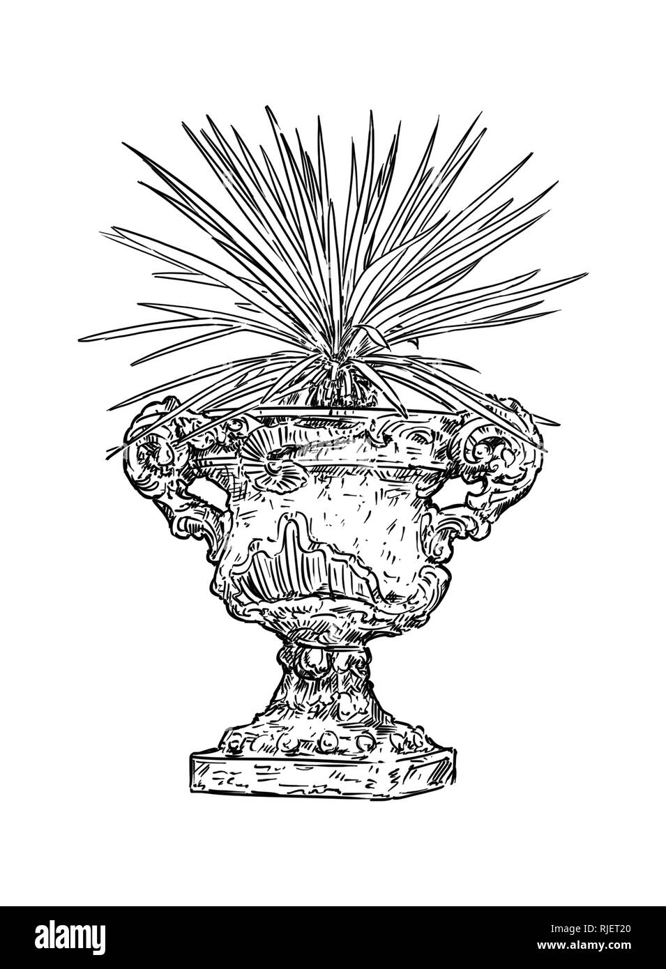 Drawing of Old Antique Ornamental Stone Goblet or Vase With Yucca Plant Stock Photo