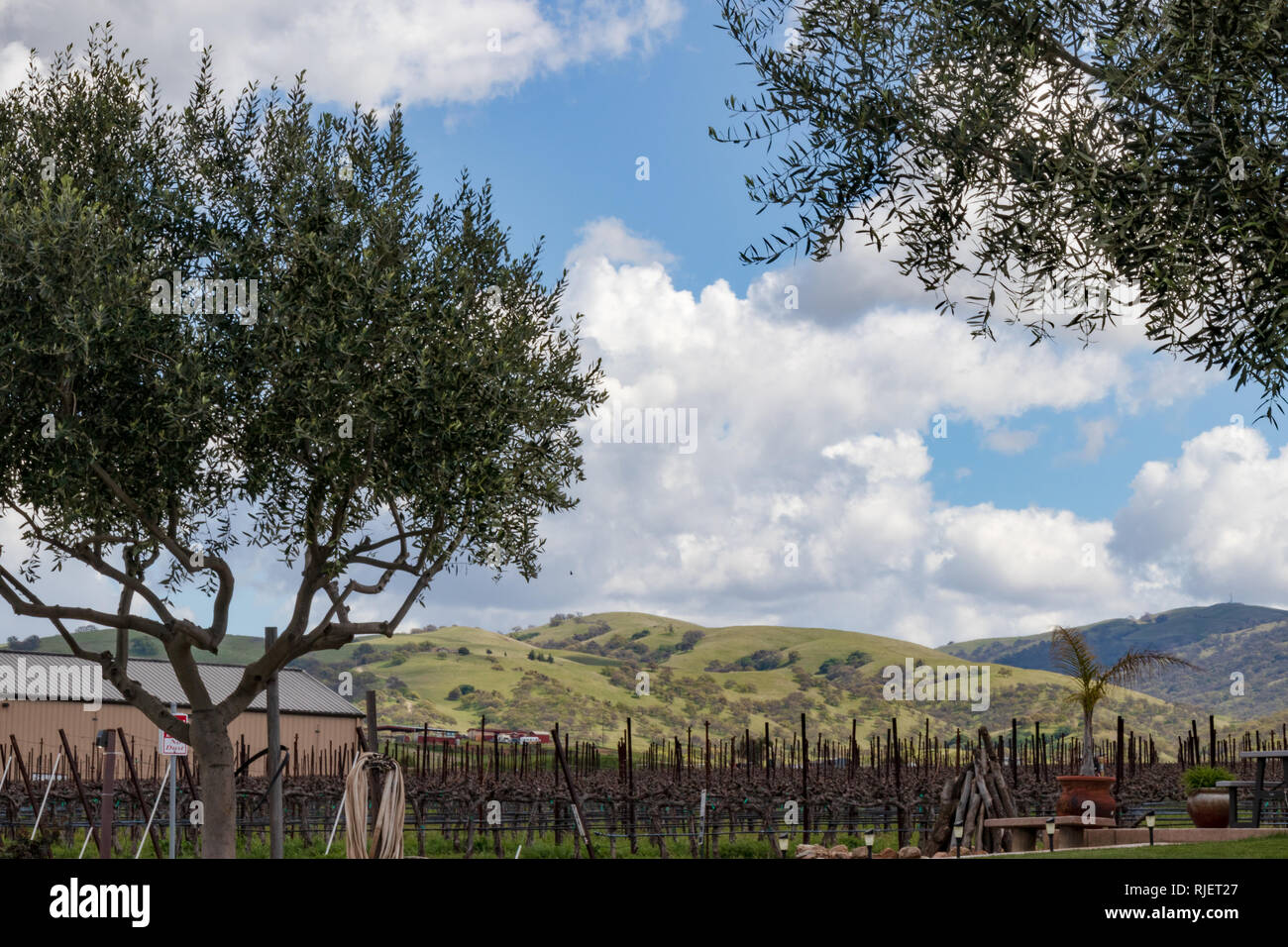 Livermore valley winery hi-res stock photography and images - Alamy