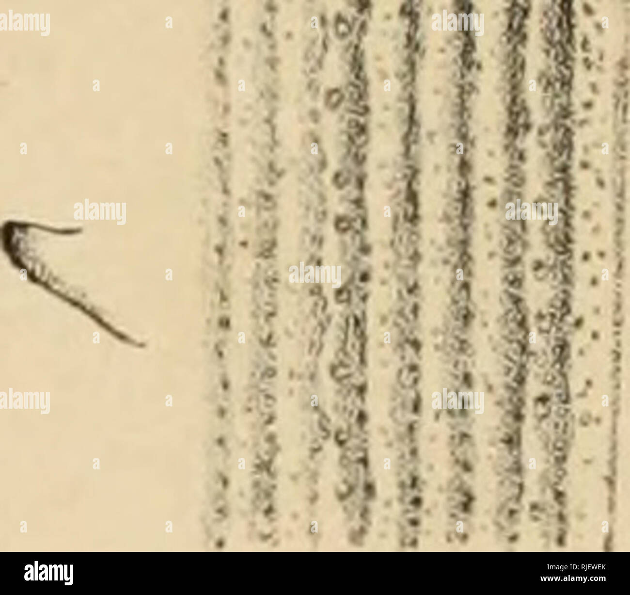 Tf Fit High Resolution Stock Photography And Images Alamy