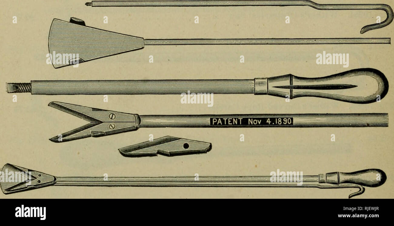 Embryotomy Instruments Genital apparatus hi-res stock photography and images - Alamy