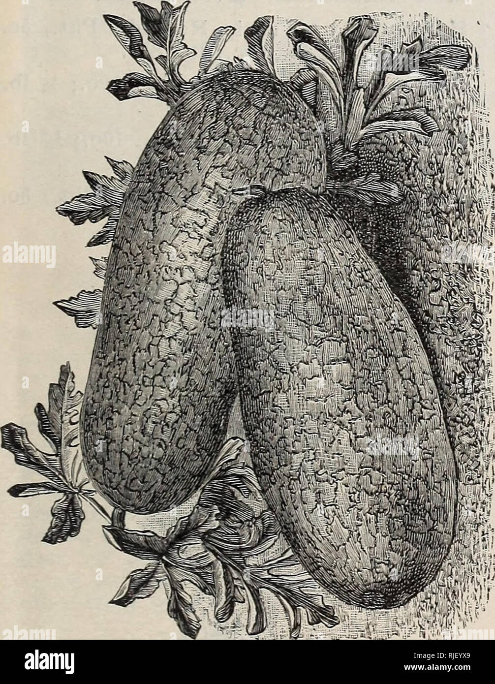 Whole earth catalogue hires stock photography and images Alamy