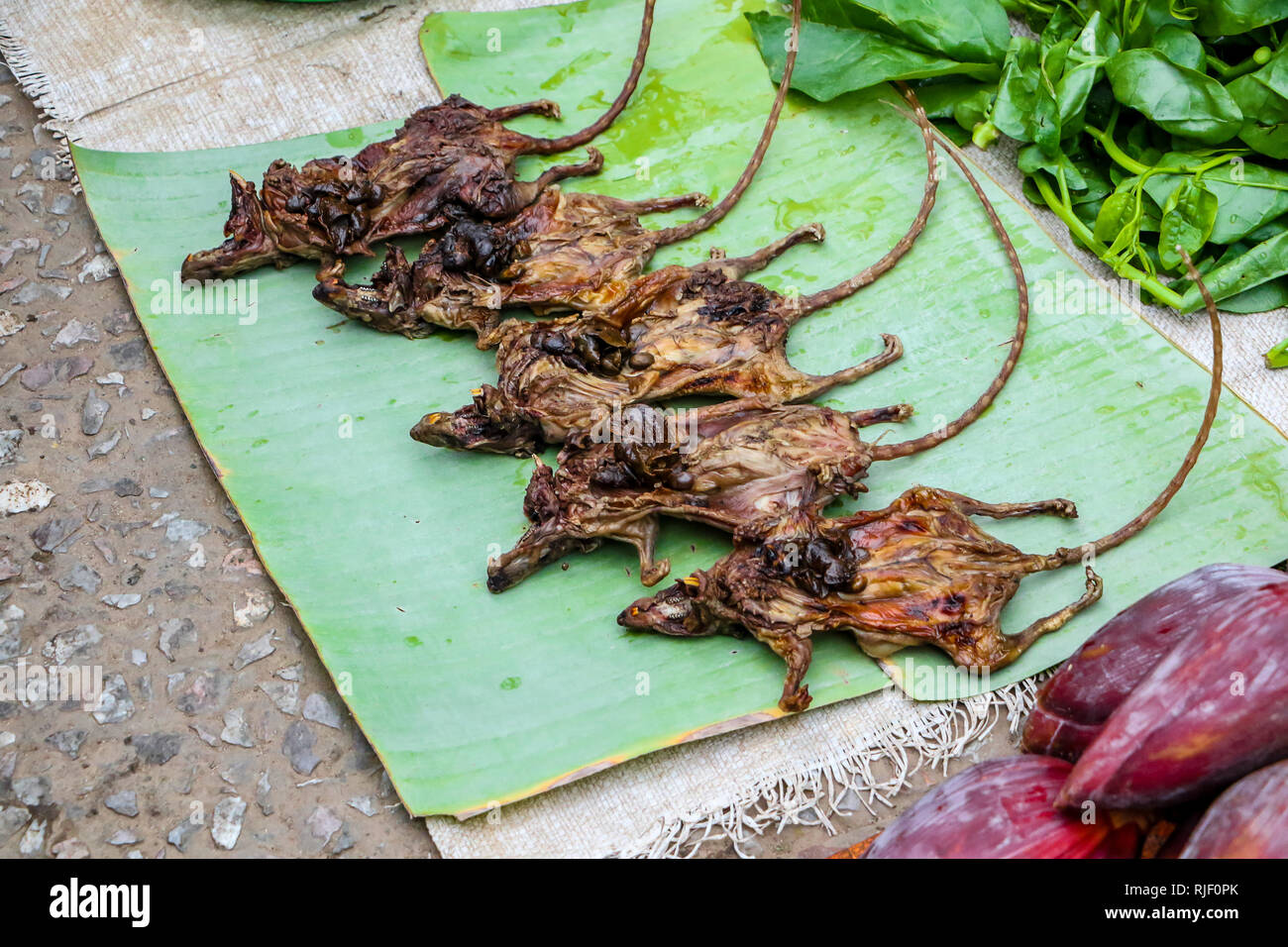 Rice field deals rat